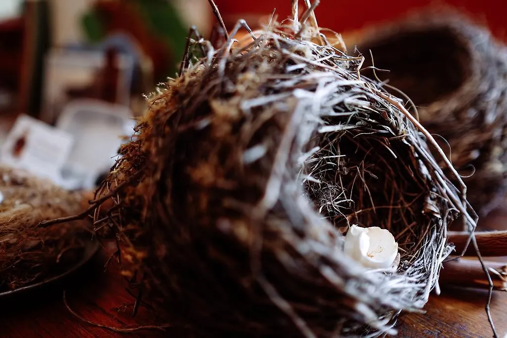 Bed and Breakfast Le Poujastou Juzet-de-Luchon